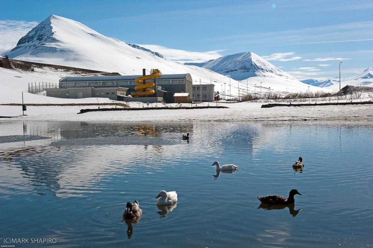 The Northern Comfort Inn Olafsfjordur Exterior foto